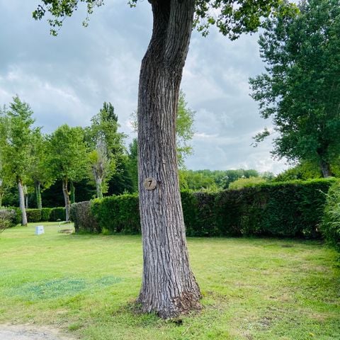 Kampeerplaats