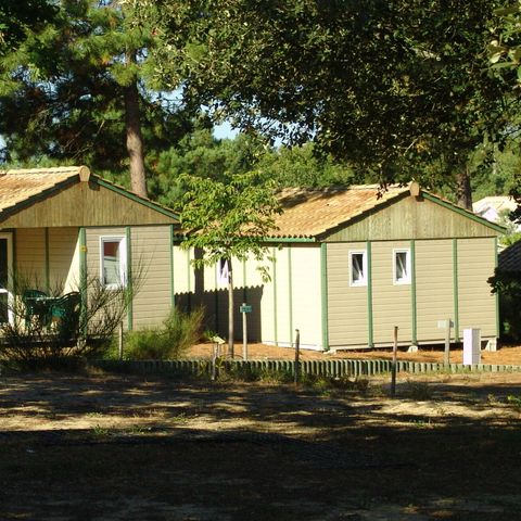 CHALET 4 people - Chalet | Classic XL | 2 Bedrooms | 4 Pers. | Raised terrace