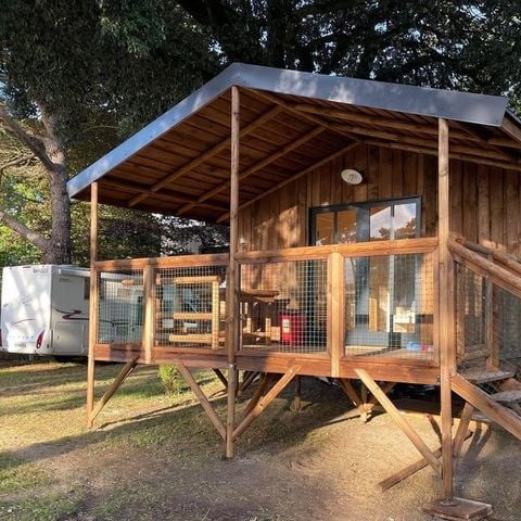 HÉBERGEMENT INSOLITE 5 personnes - ECOLODGE CAPE TOWN