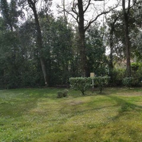 Kampeerplaats - 3 personen + 1 auto, Wifi, sanitair, warm water, WC, douches