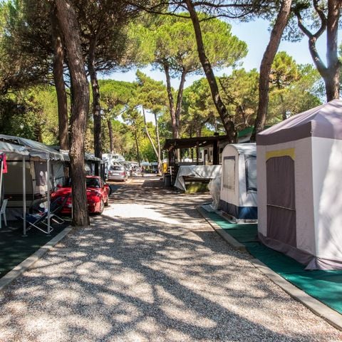 PIAZZOLA - Piazzola animali ammessi