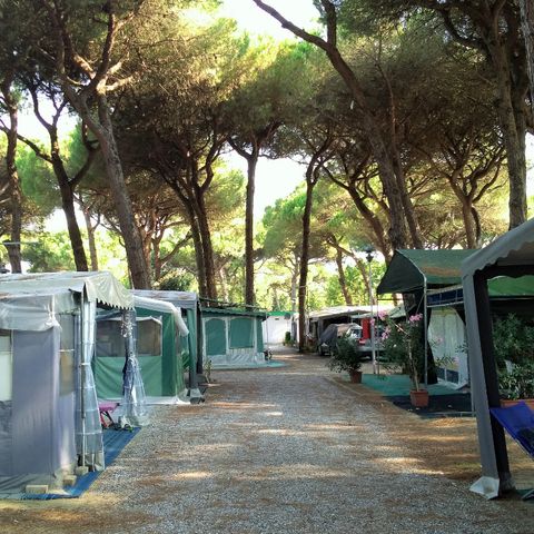 EMPLACEMENT - Emplacement animaux admis