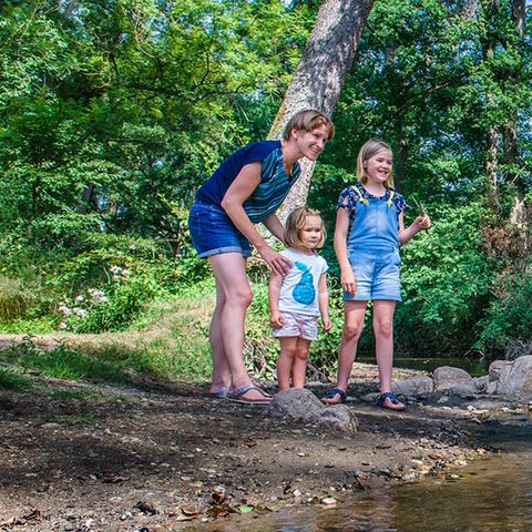 Camping Paradis - Val De Coise Camping Paradis - Val De Coise - Camping Loire - Image N°5