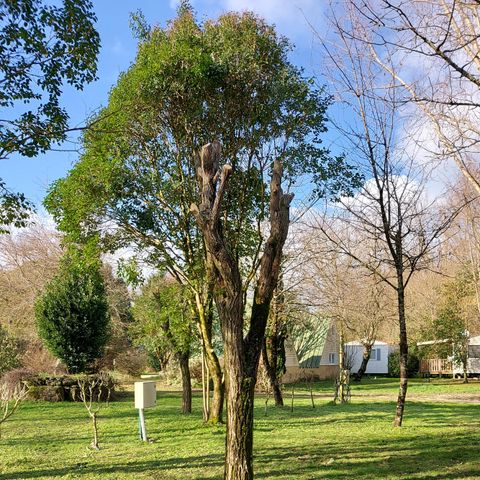 STAANPLAATS - Kale standplaats met 1 voertuig + 1 uitrusting