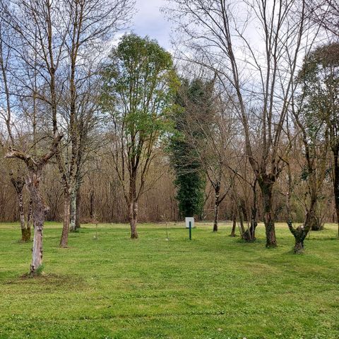 Stellplatz - Solo-Pauschale 2 Räder (1 Fahrrad/Motorrad/Kanu, ohne Strom)
