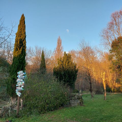 PIAZZOLA - Pacchetto 2 ruote in solitaria (1 bicicletta/motocicletta/canoa, senza elettricità)