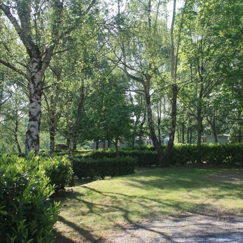 Pitch - Comfort package (1 tent, caravan or camper / 1 car / 10A electricity)