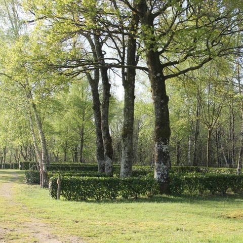 EMPLACEMENT - Forfait Privilège XL (1 tente, caravane ou camping-car / 1 voiture /électricité 10A/ emplacement de 120m² ou plus)