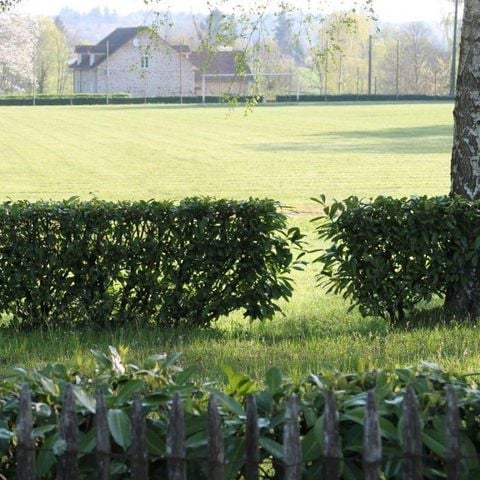 PLOT - Privilege XL package (1 tent, caravan or camper / 1 car / 10A electricity / pitch of 120m² or more)