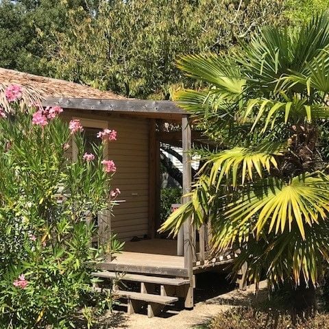 Mobile home 2 persons - Mobilhome Adriatique - 20m² - 1 bedroom