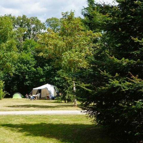 EMPLACEMENT - Forfait emplacement Confort Grande Taille 120m²