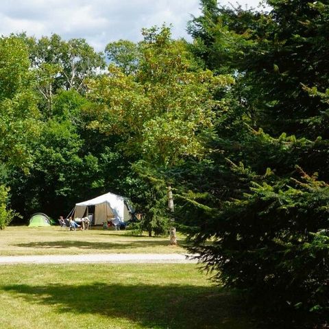 Pitch - Large Comfort pitch 120m² package