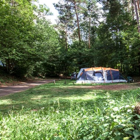 Camping Paradis Aydat Camping Paradis Aydat - Camping Puy-de-Dome - Image N°17