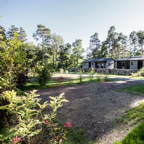 Camping Paradis Aydat Camping Paradis Aydat - Camping Puy-de-Dome - Image N°22