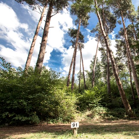 Camping Paradis Aydat Camping Paradis Aydat - Camping Puy-de-Dome - Image N°16