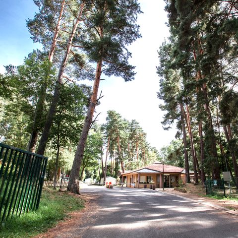 Camping Paradis Lac d'Aydat Camping Paradis Lac d'Aydat - Camping Puy-de-Dome - Image N°19