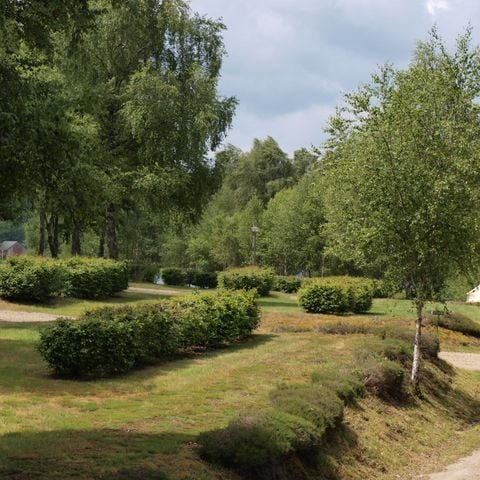 STAANPLAATS - Kaal veld zonder elektriciteit