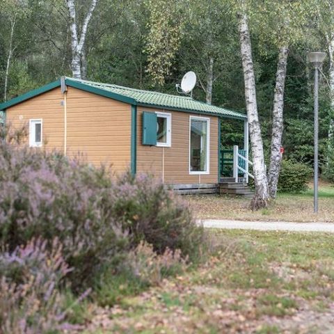 CHALET 4 persone - Chalet Eco 2 Camere da letto 4 Persone