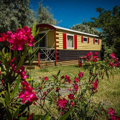 SISTEMAZION ATIPICHE 4 persone - Caravan con 1 camera da letto per 4 persone