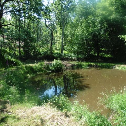 Kampeerplaats - Locatie