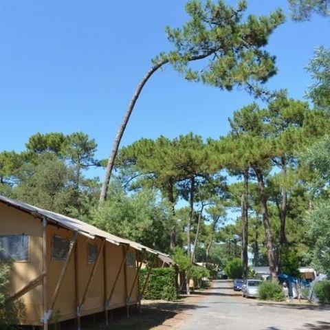 TENTE TOILE ET BOIS 6 personnes - Lodge PREMIUM BAHAMAS 6 personnes