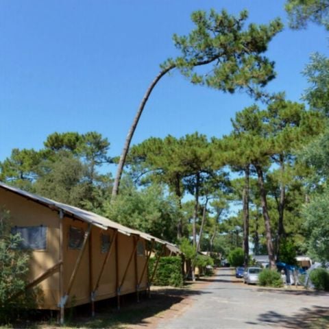 TENTE TOILE ET BOIS 6 personnes - Lodge PREMIUM BAHAMAS 6 personnes