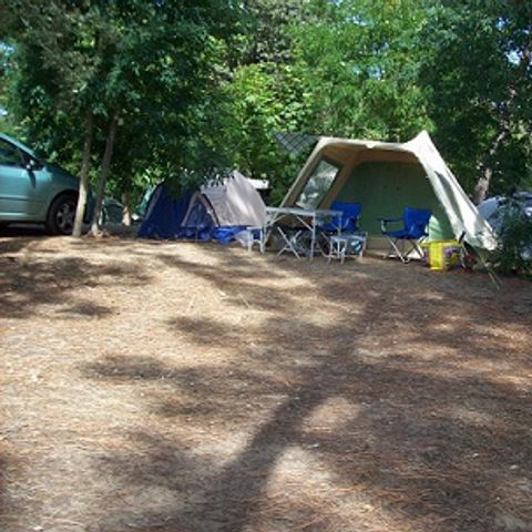 Kampeerplaats - COMFORT LOCATIE