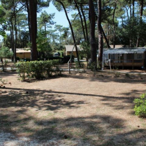 Kampeerplaats - TOPLOCATIE