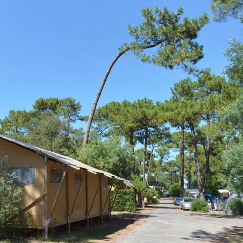 TENTE TOILE ET BOIS 6 personnes - Lodge PREMIUM BAHAMAS 6 personnes