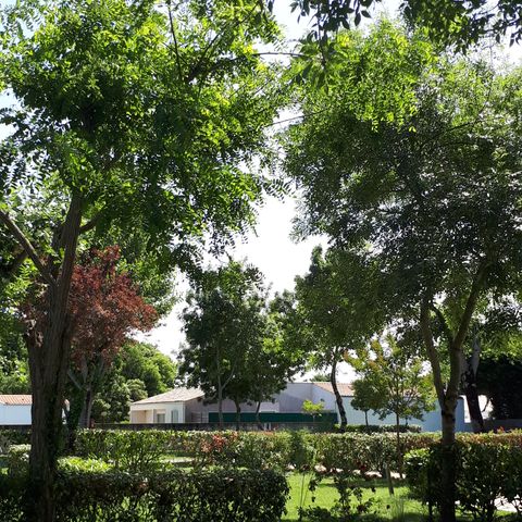 PARCELA - Paquete para 2 pers. sin electricidad, soleado y no delimitado