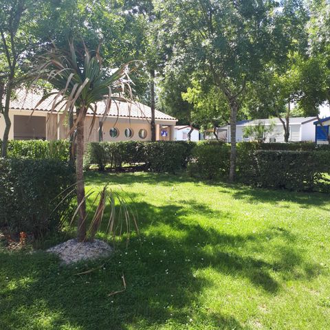 PARCELA - Paquete para 2 pers. sin electricidad, soleado y no delimitado