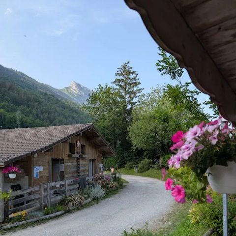 Camping Le Lachat - Camping Haute-Savoie - Image N°6