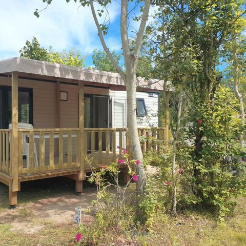 Mobile home 4 persons - Premium