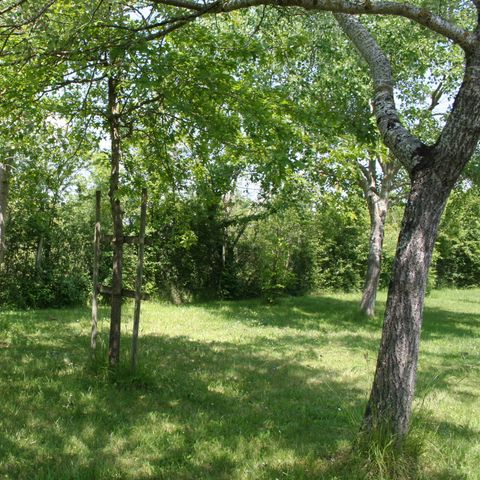 PLOT - Nature package (without electricity): tent or caravan or camper van or motorbike + 1 car