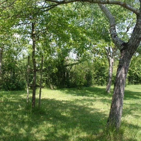 Pitch - Nature package (without electricity): tent or caravan or camper van or motorbike + 1 car