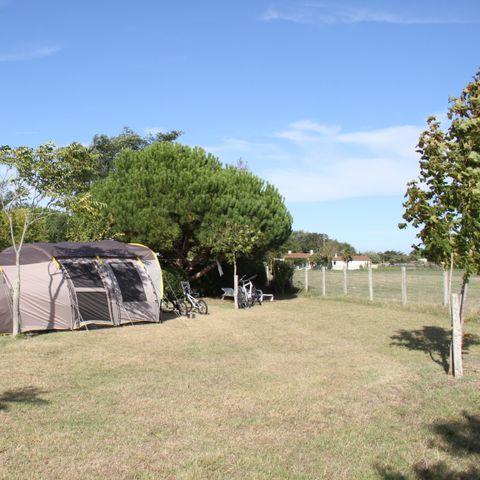 Kampeerplaats - Natuur