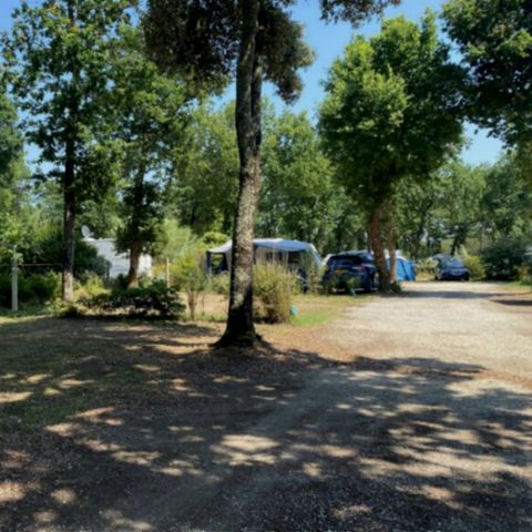 PIAZZOLA - Privilegio (da 100 a 150 m2)