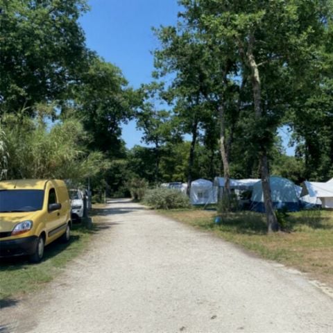 Kampeerplaats - Privilege (100 tot 150m2)