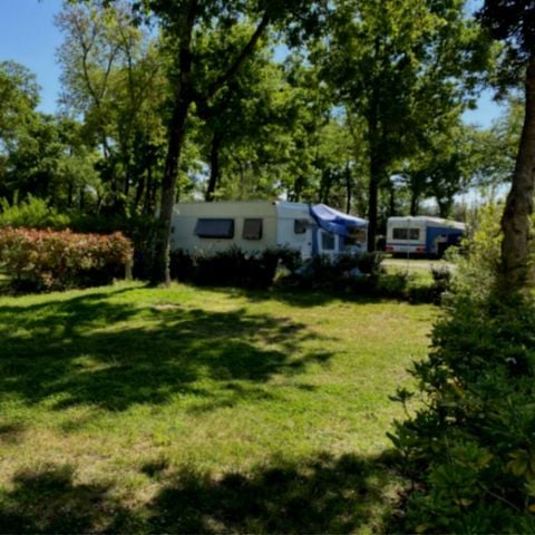 Kampeerplaats - Comfort (80 tot 100 m2)