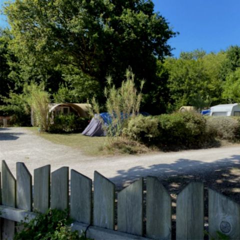 Kampeerplaats - Comfort (80 tot 100 m2)