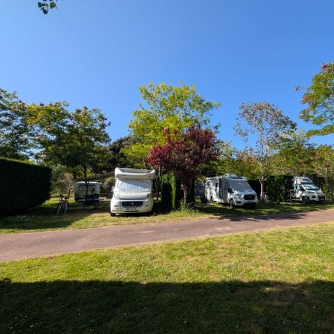 Camping Le Sous Bois - Camping Charente-Maritime