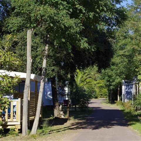 Camping Le Sous Bois - Camping Charente-Maritime - Image N°6