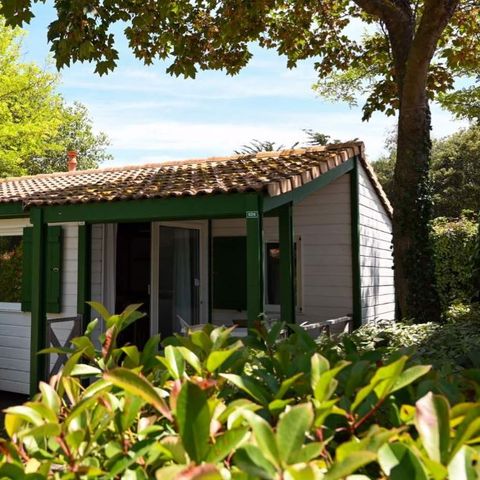 Chalet 5 persons - MATTHIOLE