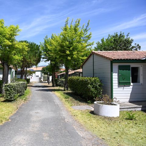 BUNGALOW 6 personnes - TAMARIS