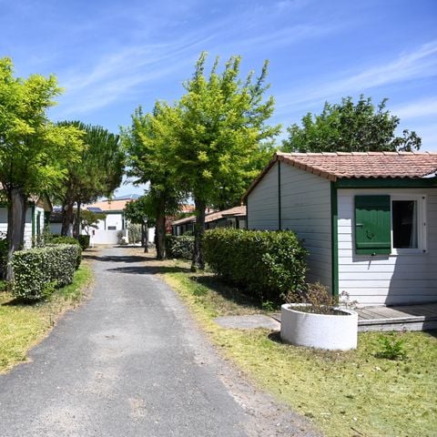 MOBILHOME 6 personas - TAMARIS