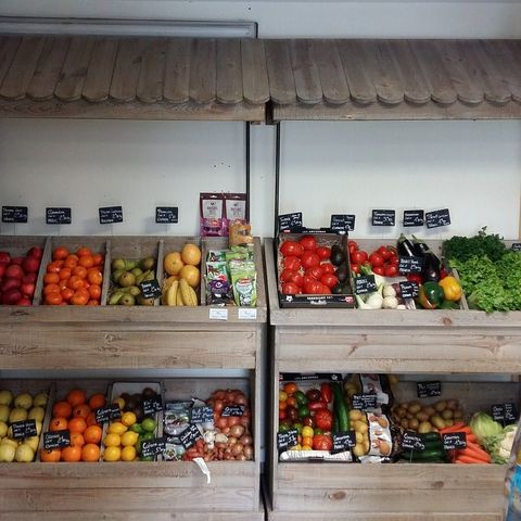 Camping Les Gros Joncs - Camping Charente-Maritime - Image N°18