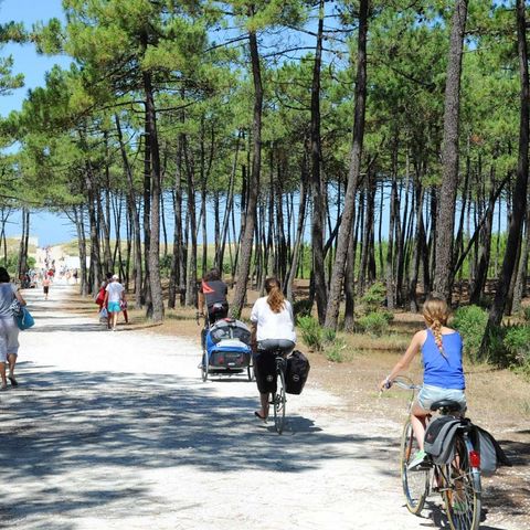 Camping Les Gros Joncs - Camping Charente-Maritime - Image N°37