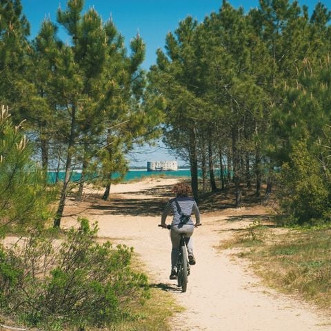 Camping Les Gros Joncs - Camping Charente-Maritime - Image N°32