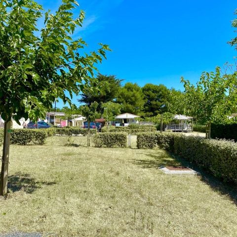 Camping Les Coquettes - Camping Charente-Maritime - Image N°5