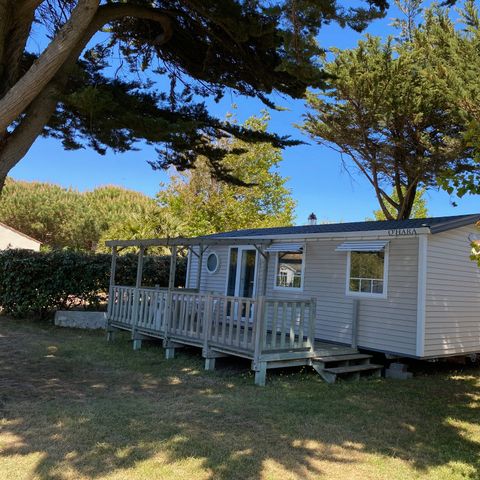 Mobile home 6 persons - OHARA